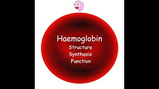 Part 3 Haemoglobin  Structure Synthesis Types and Function [upl. by Ellednahc504]