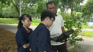 Landscape Management Technology  Landscape Courses at ITE College East [upl. by Ariahay]