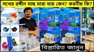 aquarium price in Bangladesh। aquarium fish price। aquarium fish price in Bangladesh। fish aquarium। [upl. by Sharia]