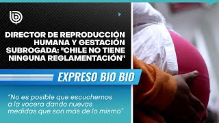 Director de Reproducción Humana y gestación subrogada quotChile no tiene ninguna reglamentaciónquot [upl. by Deeas]