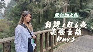 【台灣7日6夜】美食之旅 Day3 Vlog｜奮起湖老街大飯店｜懷舊老街美食超多｜山林步道腳力挑戰！｜初嚐阿里山地道農家菜 [upl. by Meng]