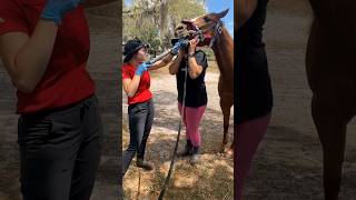 Why are horses teeth clipped 🐎😱facts shorts [upl. by Nilatak979]