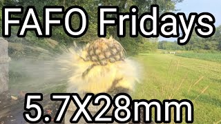 FAFO Fridays 57X28mm Ammo Testing Fruit Ninja Style [upl. by Esertal]