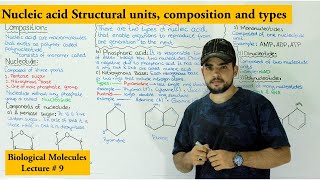 Introduction to nucleic acid and nucleotide  types of nucleotides [upl. by Dranik]