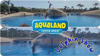 Dolphin Show  Aqualand Costa Adeje  Tenerife [upl. by Nhojleahcim]