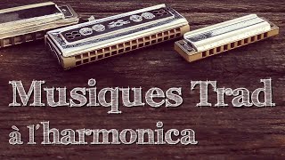 Charlie Mulvihills hornpipe  Harmonica [upl. by Enaed619]