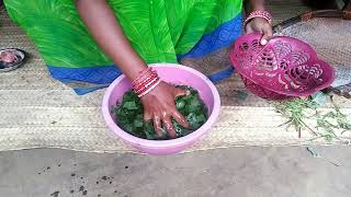 Spinach Leaves recipe  Amarnath saag  khada saag  chaulai ki sabji  Jhankesh Sahu Eating [upl. by Droc943]