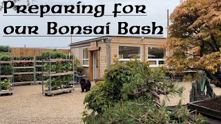 Preparing for our Bonsai Bash  Greenwood Bonsai [upl. by Anaerda]