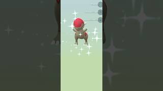 Shiny Cranidos from Eggs Name it shinypokemon pokemongo pokemon [upl. by Adias173]