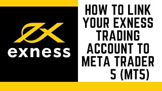 How to link your Exness Trading Account to Meta Trader 5 MT5 Very Detailed [upl. by Alag]