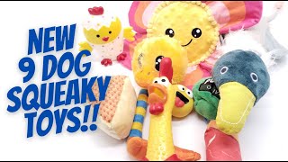 Dog Squeaky Toys 9 Different Squeaky Toy Sounds To CALL Your Dog [upl. by Popele401]