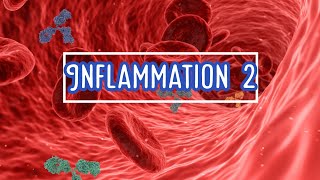 inflammation 2 [upl. by Templeton]