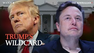 Why Elon Musk is Trumps big wildcard [upl. by Newel423]