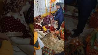 Chunari rasam 0divloveammu wedding love shadi marriage happy shaadi [upl. by Onstad]