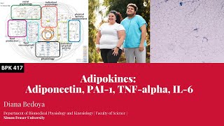 Adipokines Adiponectin PAI1 TNFalpha IL6 [upl. by Julie]