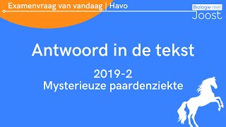 6 Examenvraag van vandaag  Havo  20231 Mysterieuze paardenziekte [upl. by Siubhan]