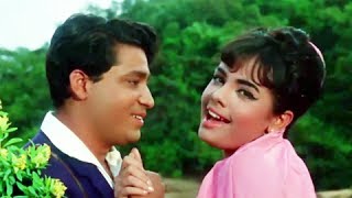 Chale Aaye Re  Classic Superhit Romantic Hindi Song  Mumtaz Dileep Raj  Daadi Maa [upl. by Arabela]