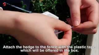 How To Install Artificial Hedges Boxwood Hedge [upl. by Attinahs77]