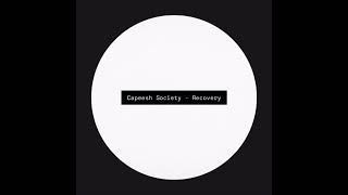 Capeesh Society  Recovery [upl. by Ephram]