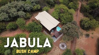 Glamping in Dinokeng Game Reserve l Jabula Bush Camp [upl. by Ayihsa]