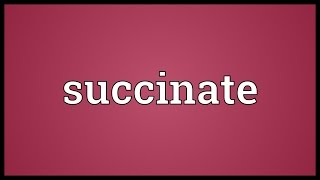 Succinate Meaning [upl. by Llewop]