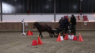 Fahrturnier SüdlohnOeding 7122024 Sicon Cup [upl. by Ykroc]