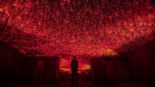 Immersive Art Installation by TUNDRA [upl. by Fran709]