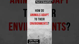 How do Animals adapt to their Environments factshorts [upl. by Adanama911]