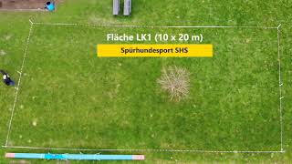 Spürhundesport  Flächensuche LK1 [upl. by Magena784]