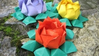 Origami ❀ Water Lily ❀  modular [upl. by Niall897]