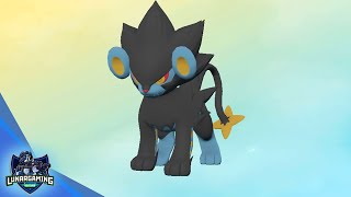 Luxio Evolving Into Luxray Pokemon Legends Arceus [upl. by Lenahtan680]