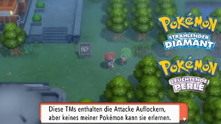 AUFLOCKERN VM holen  Nebel lichten  Pokemon Strahlender Diamant amp Leuchtende Perle  Tipps Tricks [upl. by Daria]