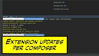 TYPO3 ExtensionUpdates und Upgrades per Composer durchführen [upl. by Alyos]