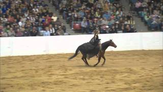 Stacy Westfall  2011 Congress Freestyle Reining Bridleless Can Can Vaquero [upl. by Annehsat]