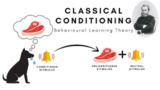 Classical Conditioning Pavlovian Conditioning and SecondorderHigherorder Conditioning [upl. by Bein884]