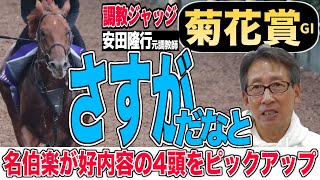 【菊花賞2024】安田隆行元調教師が調教ジャッジ 「動き」「時計」「調教過程」を採点しピックアップした4頭を発表！《東スポ競馬ニュース》 [upl. by Artenra]