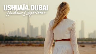 Ushuaïa Dubai Harbour Experience  Launching Winter 24 [upl. by Sivatnod647]