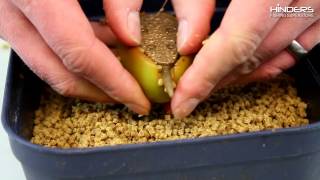 How To Prepare Pellets For The Feeder [upl. by Hanavas]