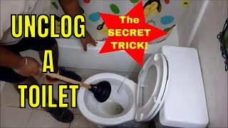 HOW TO UNCLOG A TOILET with a PLUNGER How to Use a Plunger Like a Champ [upl. by Anaihs257]