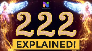 222 Angel Number  REWARDS are Coming YOUR WAY  Spiritual Message Explained [upl. by Olyhs]