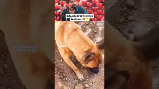 Sad mom 😔😔subscribe diwali mom [upl. by Arymat345]