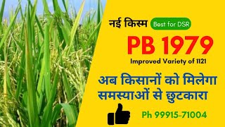 PB 1979  किसानों को मिलेगा खरपतवार से छुटकारा  AGROF [upl. by Alansen]