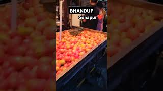 Bhandup Sonapur ❤️ viral song [upl. by Mcadams]