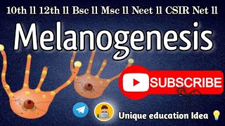 Melanogenesis in msc 4th sem zoology in hindi notes Melanogenesis in msc zoology in hindi medium 🧬🧬 [upl. by Oona]