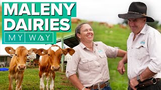 Maleny Dairies  My Way [upl. by Acimahs]