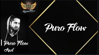 Puro Flow  Axel La Reina Del Flow Karaoke Edit [upl. by Yrocej601]