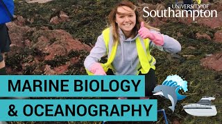 Study Marine Biology and Oceanography  University of Southampton [upl. by Angus]