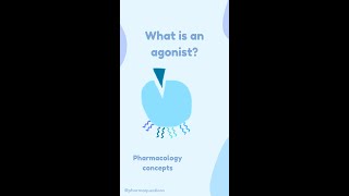 What is an agonist pharmacy shorts pharmacology [upl. by Aremat]