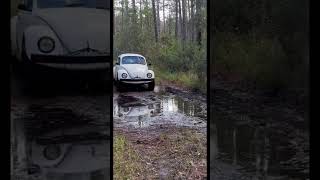 Mud bogging VW Beetle [upl. by Jarlen]