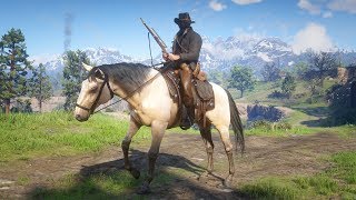 NOUVEAU CHEVAL MAGNIFIQUE RED DEAD REDEMPTION 2 PC [upl. by Bohs]